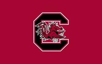South Carolina Wallpaper Top Background