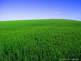 Deep Green Spring Desktop Pc And Mac Wallpaper