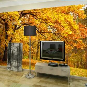 Wallpaper Murals Forest Online Shopping The World Largest