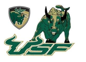 Usf Wallpaper