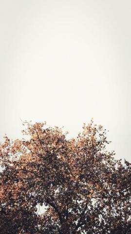 Happy Fall iPhone X Wallpaper Collection By Preppywallpaper