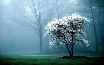 Diverse Achtergronden Voor Windows HD Wallpaper