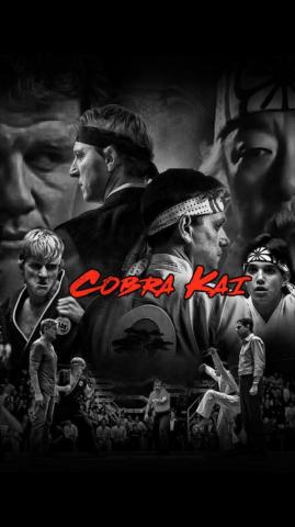 Cobra Kai Background iPhone Awesome HD Wallpaper
