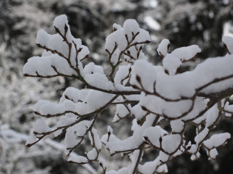 Snow Aesthetic Wallpaper