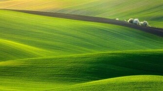 Nature HD Wallpaper Wid