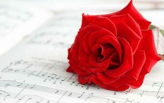 Fleurs Fonds D Cran HD Humeur Fleur Rouge Rose Note De Musique