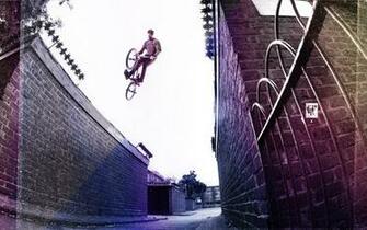 Marv Wallpaper Fitbikeco