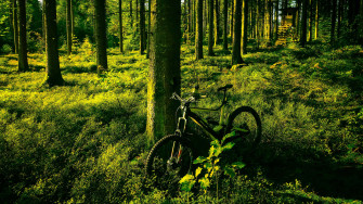 Bikes 4k Wallpaper