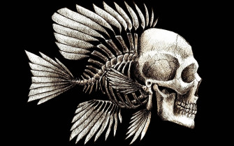 Skeleton Aesthetic Wallpaper