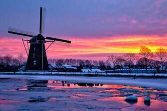 Purple Winter Wallpaper