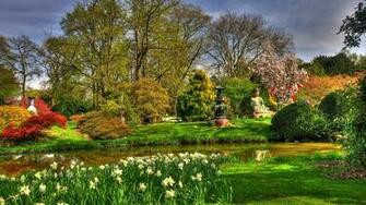 Wallpaper Flowers Narcissuses Pond Garden Buddha