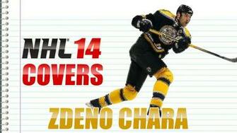 Hockey Player Boston Zdeno Chara Wallpaper And Image