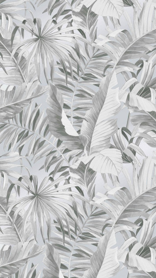 Aesthetic Gray Wallpaper