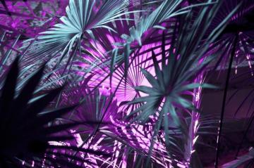 Purple Wallpaper HD Hq