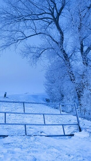 iPhone Wallpaper HD Snow Scenery Background