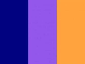 Navy Blue Purple Neon Carrot Three Color Background Jpg