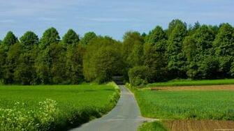 Landscape Summer Trees High Definition Wallpaper For Computer Desktop