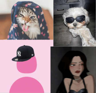 Hilarious Pfp Ideas For Tiktok Instagram And Discord Wallpaper