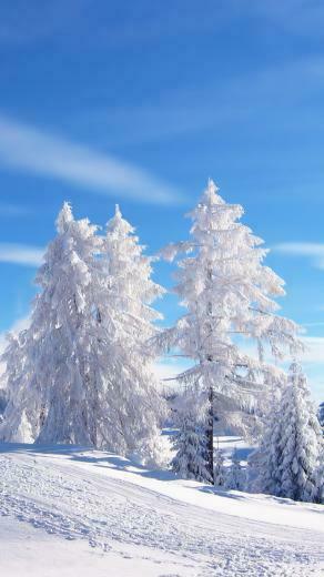 iPhone Winter Wallpaper Background And