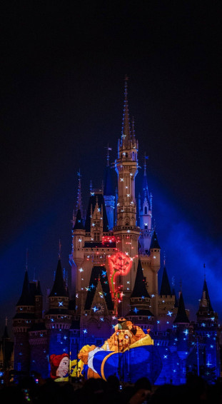 Disneyland Castle Wallpaper