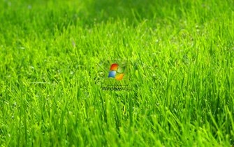 Green Grass Wallpaper Windows Vista Resolution High