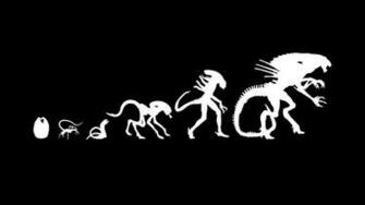 Photo Collection Abra Evolution Wallpaper