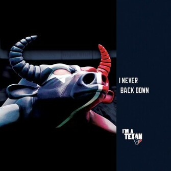 Houston Texans Bullheadlarge iPad Jpg Phone Wallpaper