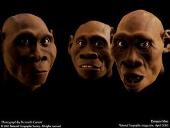 Papel De Parede Retratos Da Evolu O Do Homem