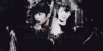 Wallpaper On Exo Xiumin Deviantart