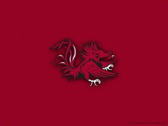 South Carolina Gamecocks College Football Wallpaper