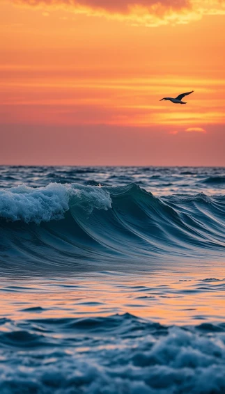 Ocean Phone Wallpaper