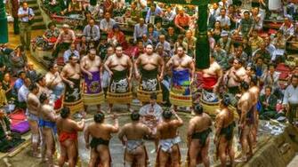 Sumo Wallpaper X Net