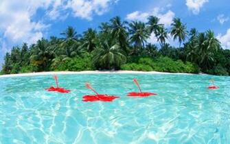 Wallpaper Maldives Travel Tourism Island