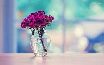 Dianthus Bouquet In A Vase Wallpaper Flower