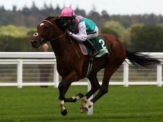 Horses British Horse Racing Frankel Jockey Wallpaper