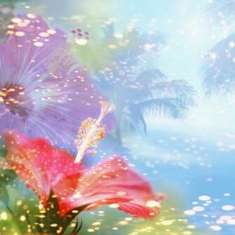 Hibiscus iPad Background Best Wallpaper