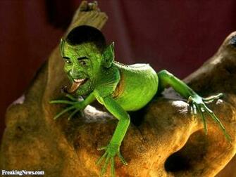 Funny Lizard Pictures Freaking News