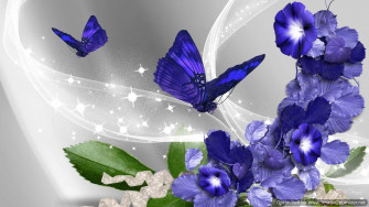 Blue Flower HD Wallpaper