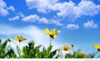 Happy First Day Of Spring Clip Art