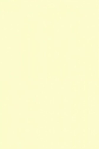 Solid Cream Color Background