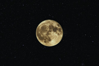 Luna Wallpaper
