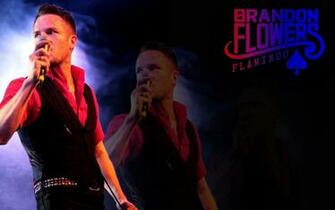 Brandon Flowers Image Flamingo Wallpaper HD And