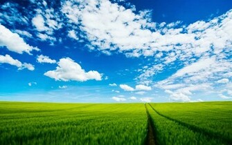 Wallpaper Zone Beautiful Blue Sky