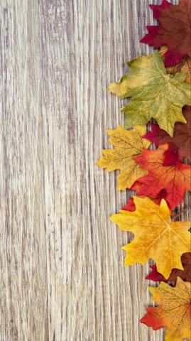 Fall Wallpaper Flower Background