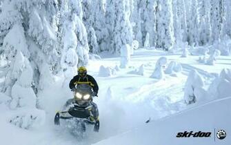 Ski Doo Wallpaper