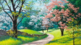 Beautiful Forest Road HD Wallpaper