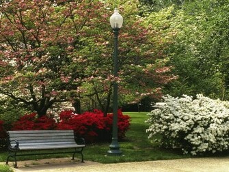 Central Park In Spring Season Wallpaper