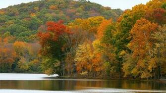Radnor Tennessee Lake Nashville Wallpaper