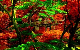 Japanese Garden Desktop Wallpaper