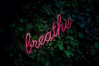 Best Neon Sign Pictures Image